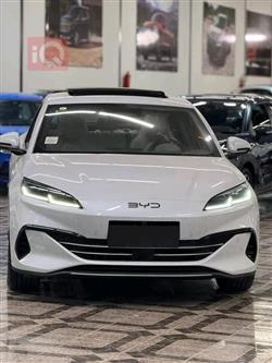 بي واي دي سيل 06 DM-i